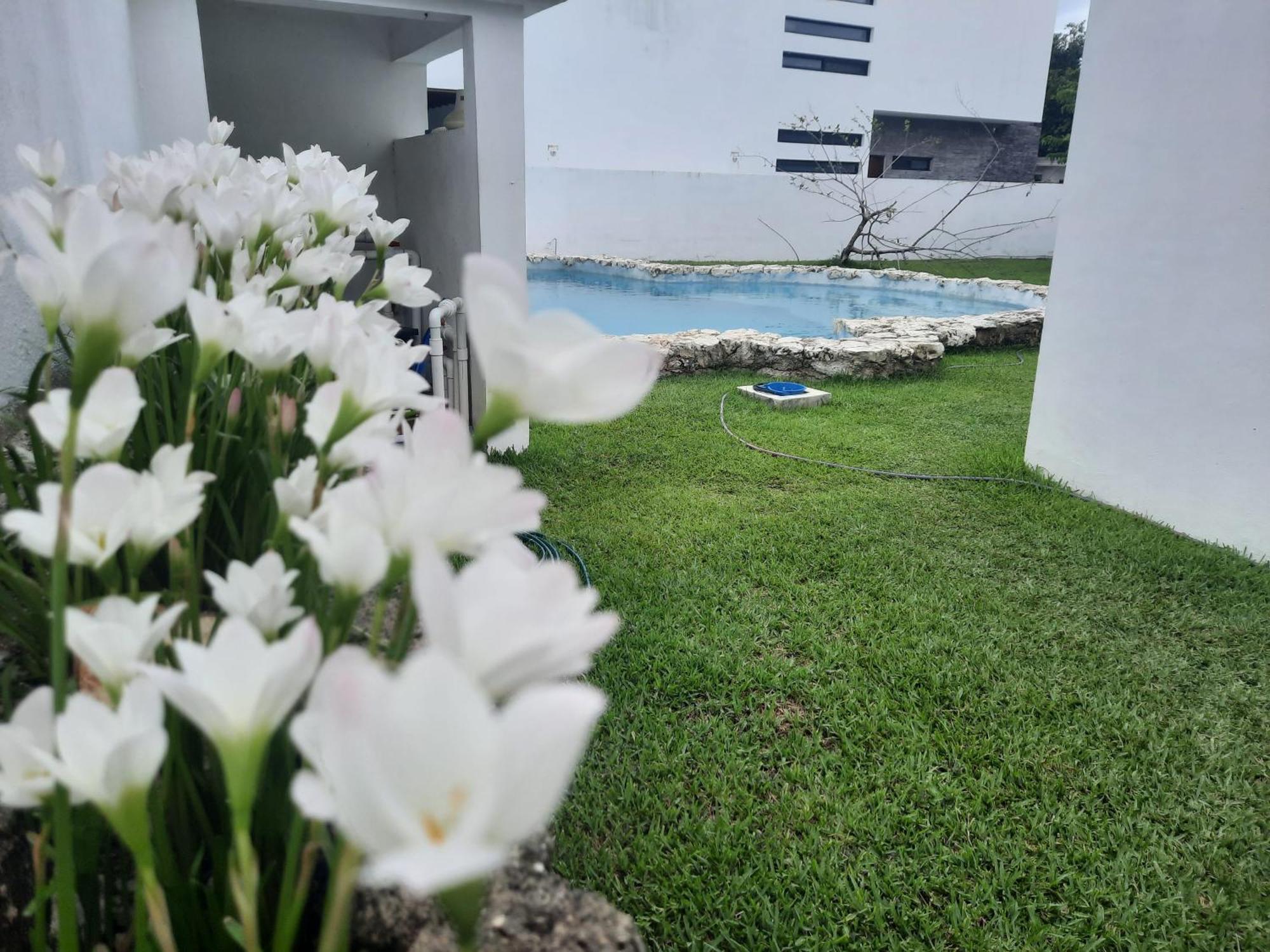 Amaxing Cancun Airport Exteriör bild
